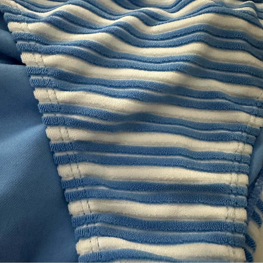 Blue and White Stripped Bikini Bottoms - Picture 2 of 6